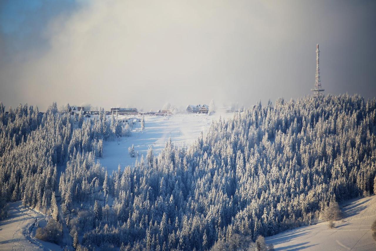 Green Deer Premium Zakopane Exterior foto