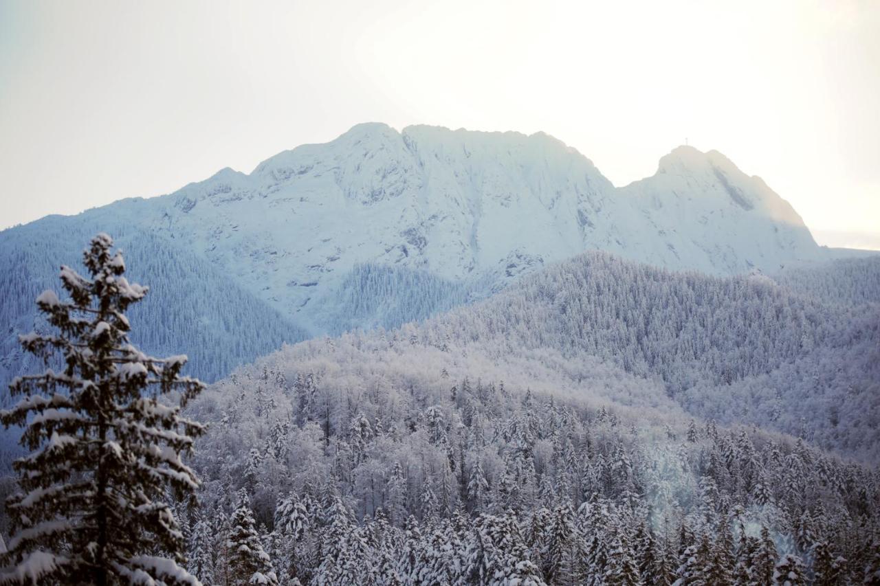 Green Deer Premium Zakopane Exterior foto
