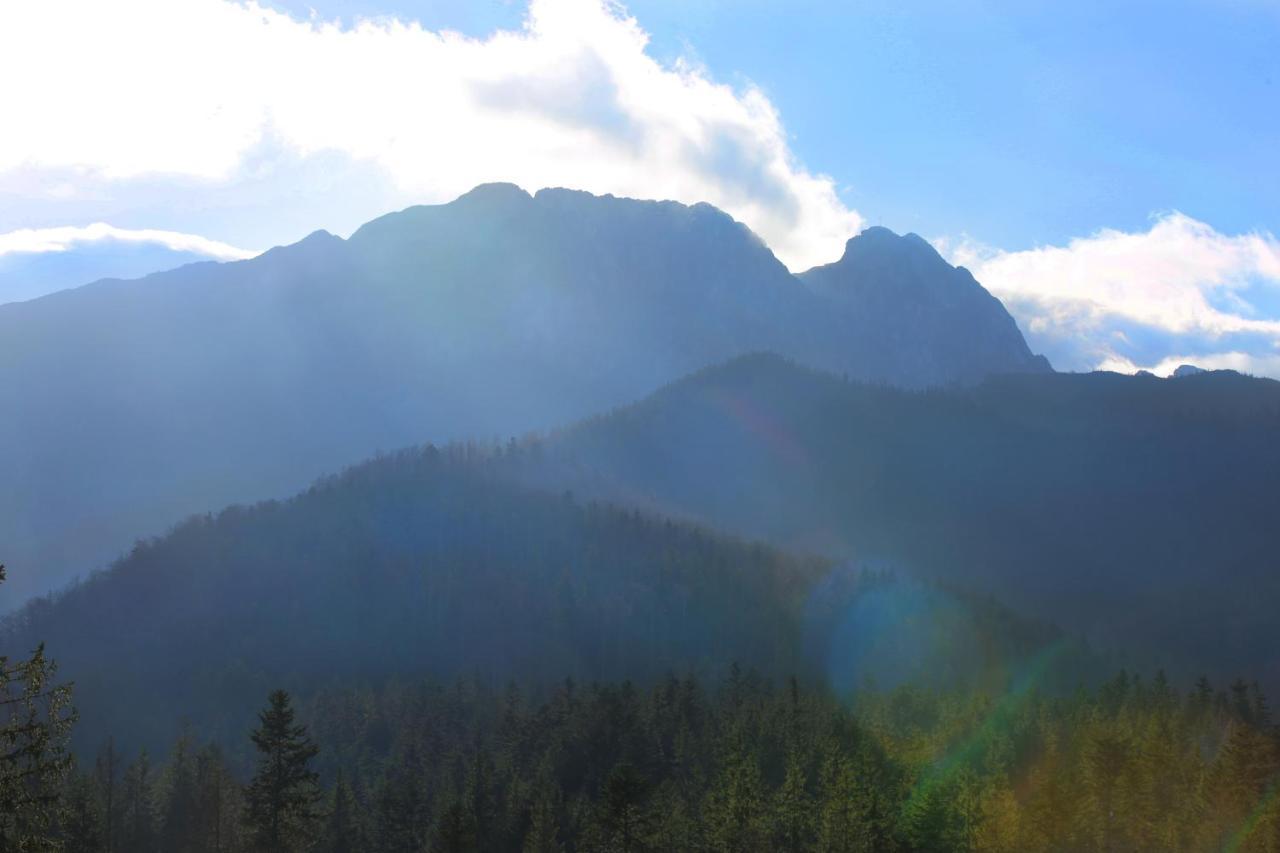 Green Deer Premium Zakopane Exterior foto